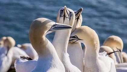 保山最新的高价医保个人账户余额微信查询方法分享(保山医保查询个人账户明细怎么查微信教程)