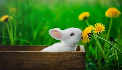 保山最新的高价找中介取公积金违法吗方法分享(保山中介取公积金怎么收费教程)